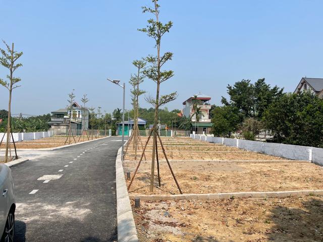 Đất Nền Hòa Lạc Gợn Sóng, Sức Mua Túc Tắc, Không Tăng Mạnh